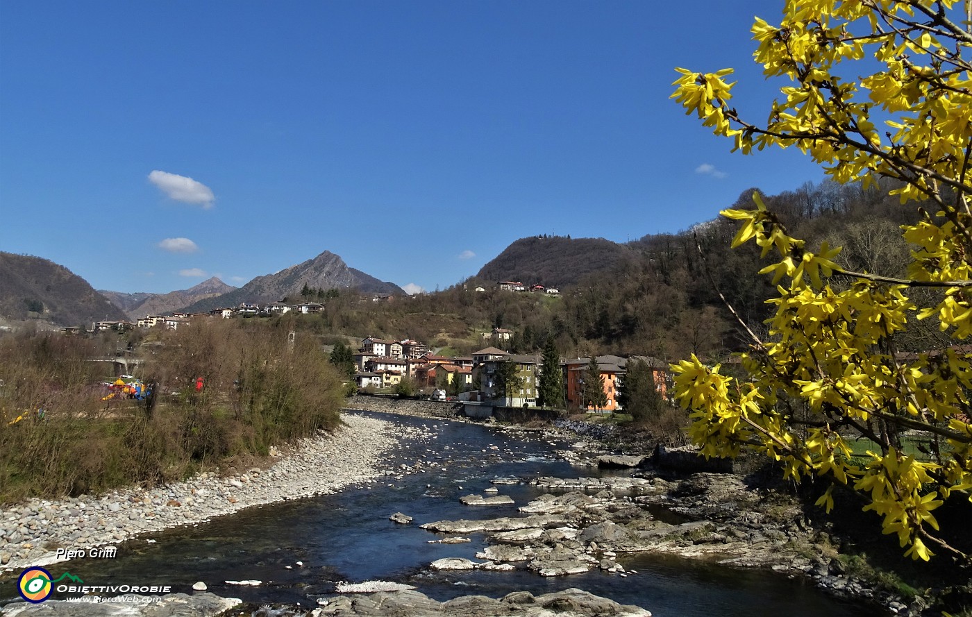 93 Il Brembo dal Ponte Vecchio .JPG